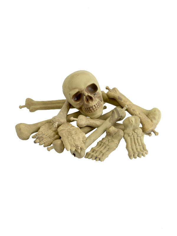 Knogler