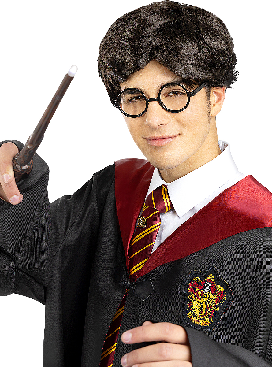 Harry Potter Paryk | Harry Potter Stokke / Stave - Kropstilbehør - Temashop