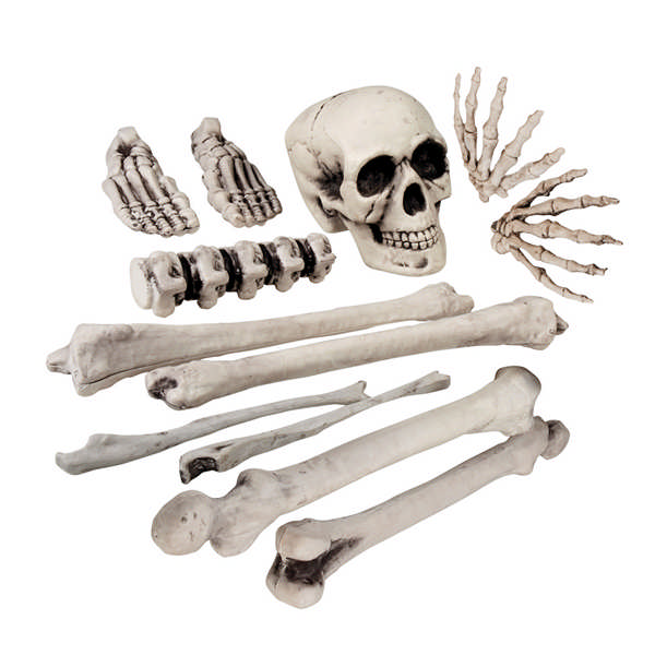 Halloween Skelet