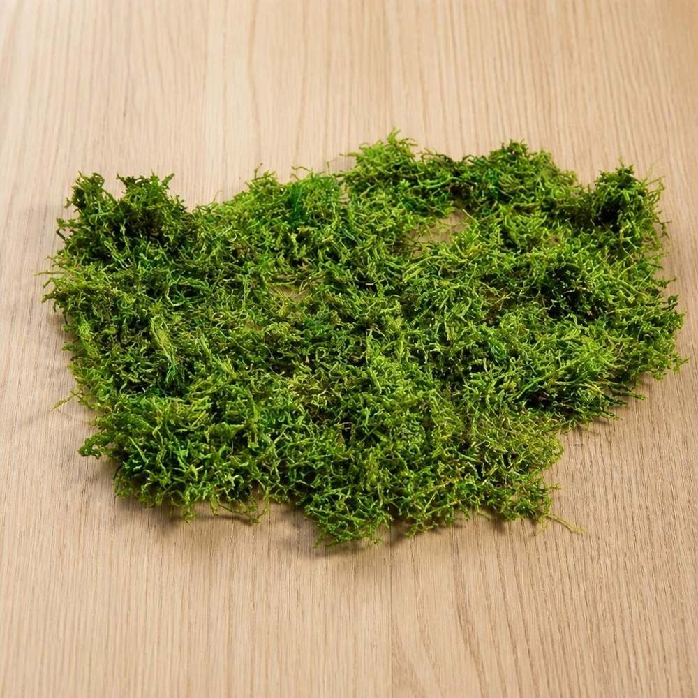 Naturlig Mos Grøn - 1 stk (50 g) | Natur tema DIY tilbehør - Temashop
