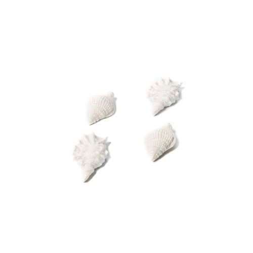 Muslingeskaller Klistermærker Hvid - 4 stk (7 x 4 cm) | Strand Klistermærke - Temashop