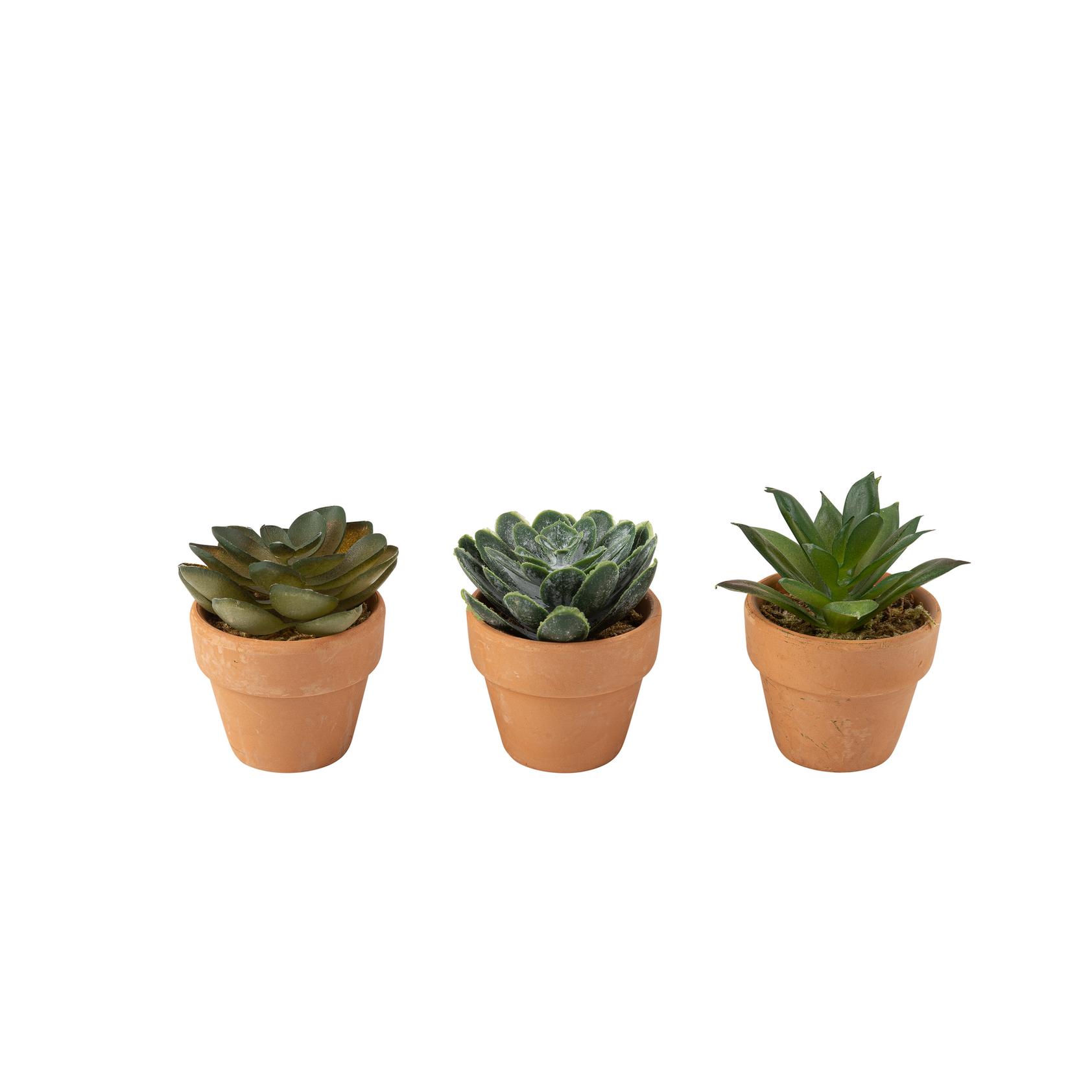 Kunstig Sukulent I Terrakottapot - 1 stk (Ø 5 x 6 cm) | Blomst Kunstige blomster - Temashop
