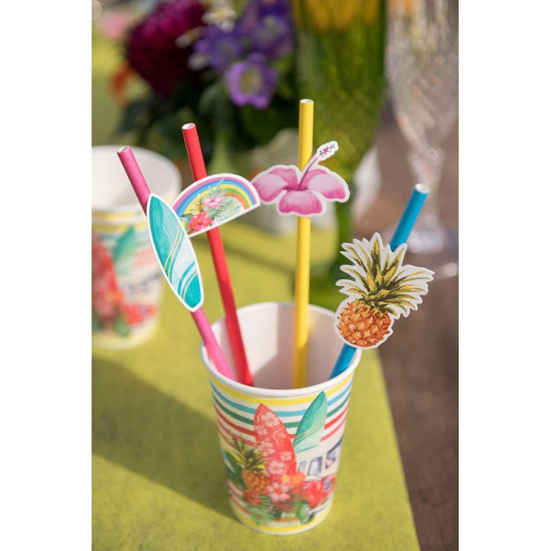 Aloha Papkrus - 10 stk (270 ml) | Hawaii Krus - Temashop