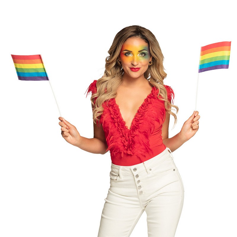 Pride Flag På Pinde Regnbue - 6 stk (40 cm) | Regnbue Flag - Temashop