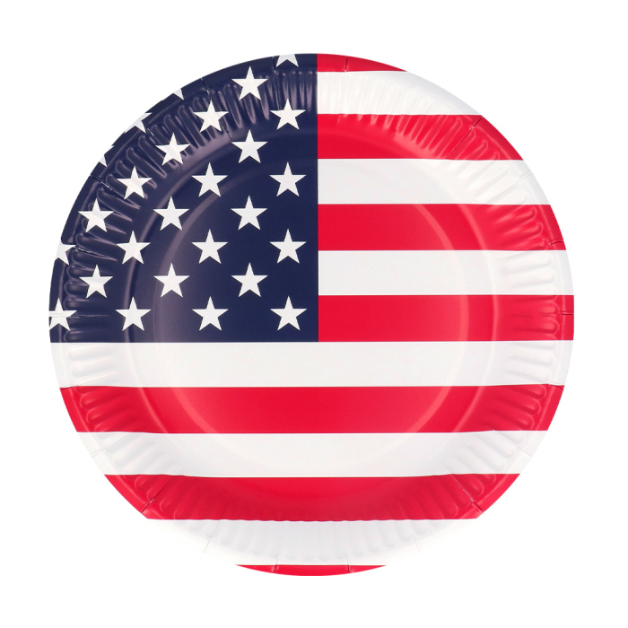American Party Tallerkener - 10 stk (25 cm) | Amerika Tallerkner - Temashop