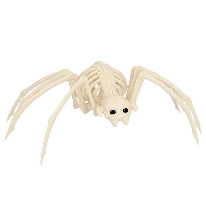 Edderkop Skelet