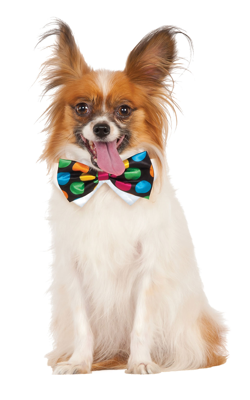 Butterfly til Hunde