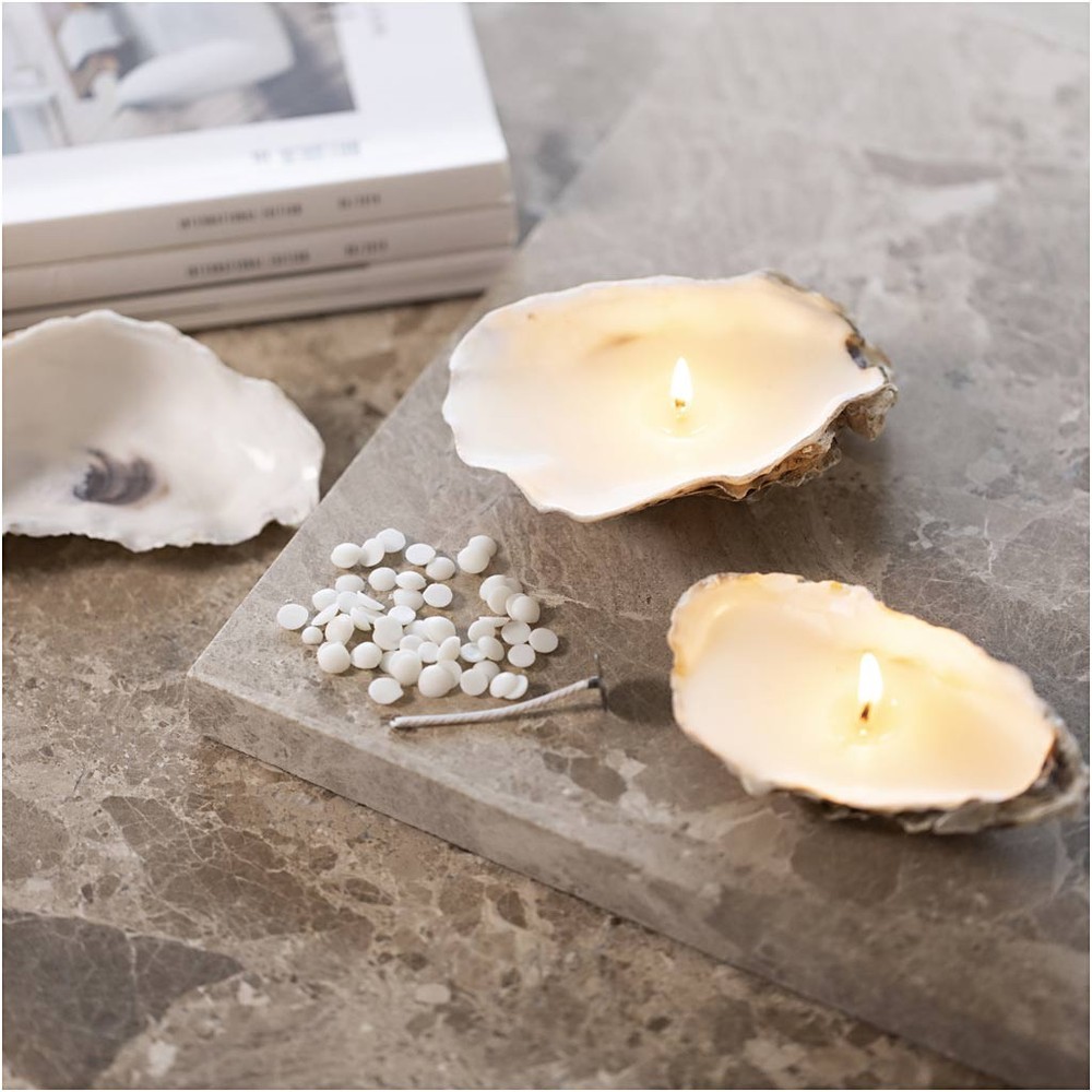 Østersskalle Lys, DIY - 1 sæt | Strand DIY pakke - Temashop