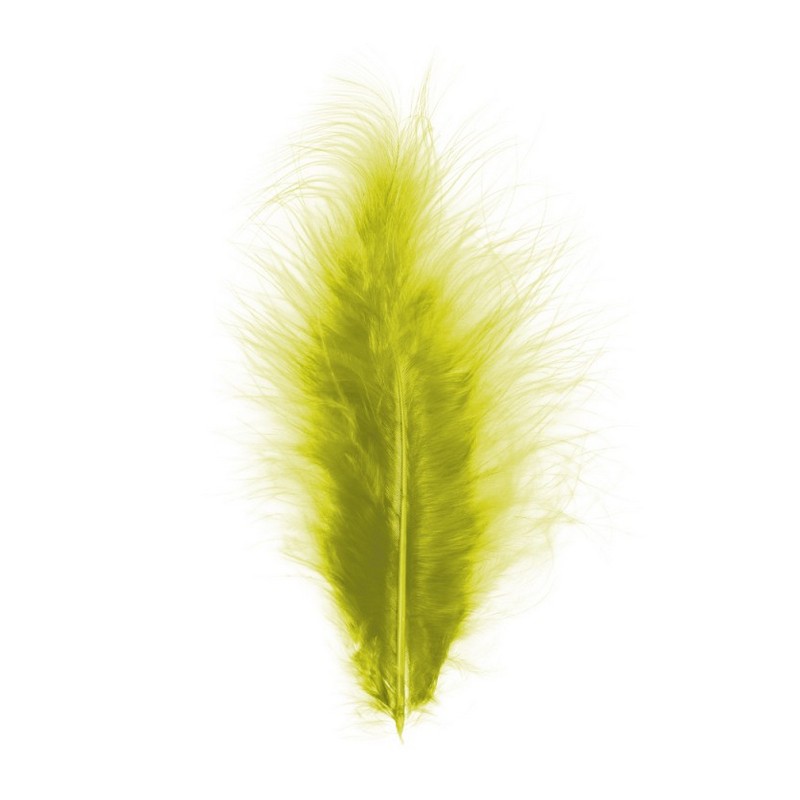 Dekorationsfjer Kiwi 10-15 cm - 5 stk (10-15 cm) | Natur tema Fjer - Temashop