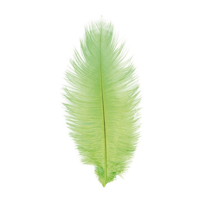 Strudsefjer Limegrøn 55-60 cm - 1 stk (55-60 cm) | Natur tema Fjer - Temashop