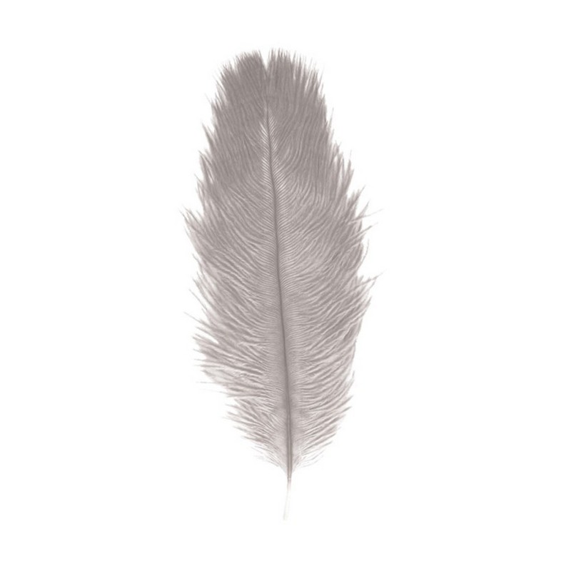 Strudsefjer Lys Grå 55-60 cm - 1 stk (55-60 cm) | Natur tema Fjer - Temashop