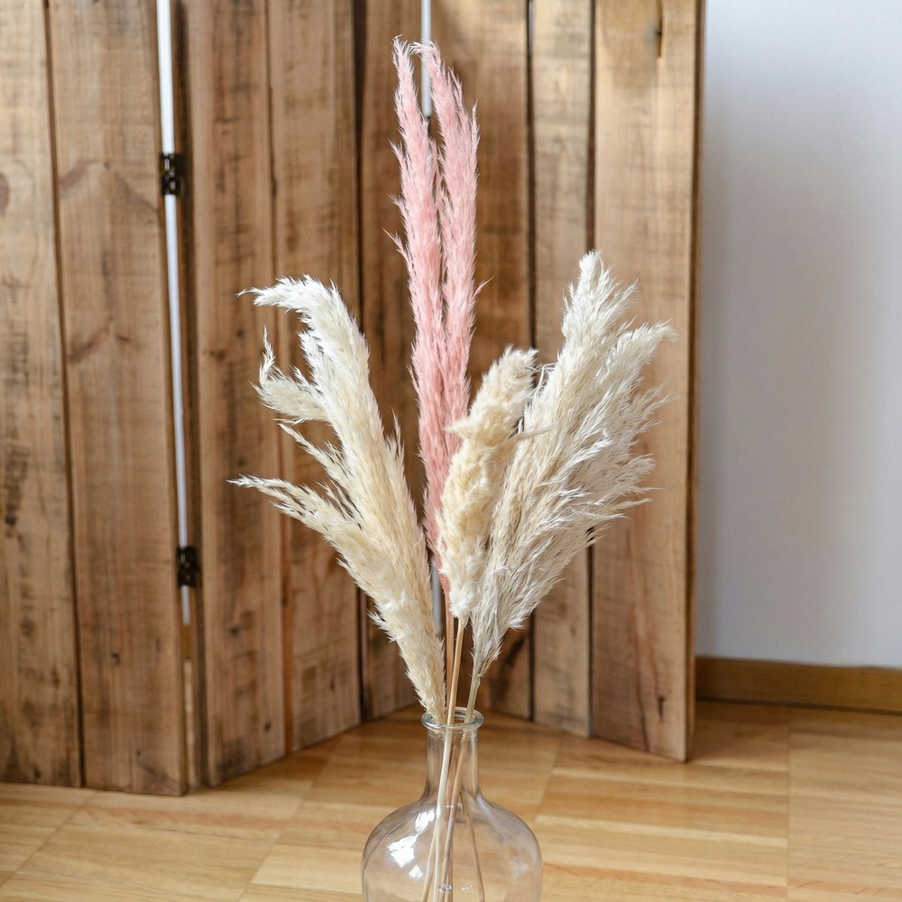 Tørret Pampasgræs Lyserød - 3 stk (100 x 135 cm) | Blomst Kunstige blomster - Temashop