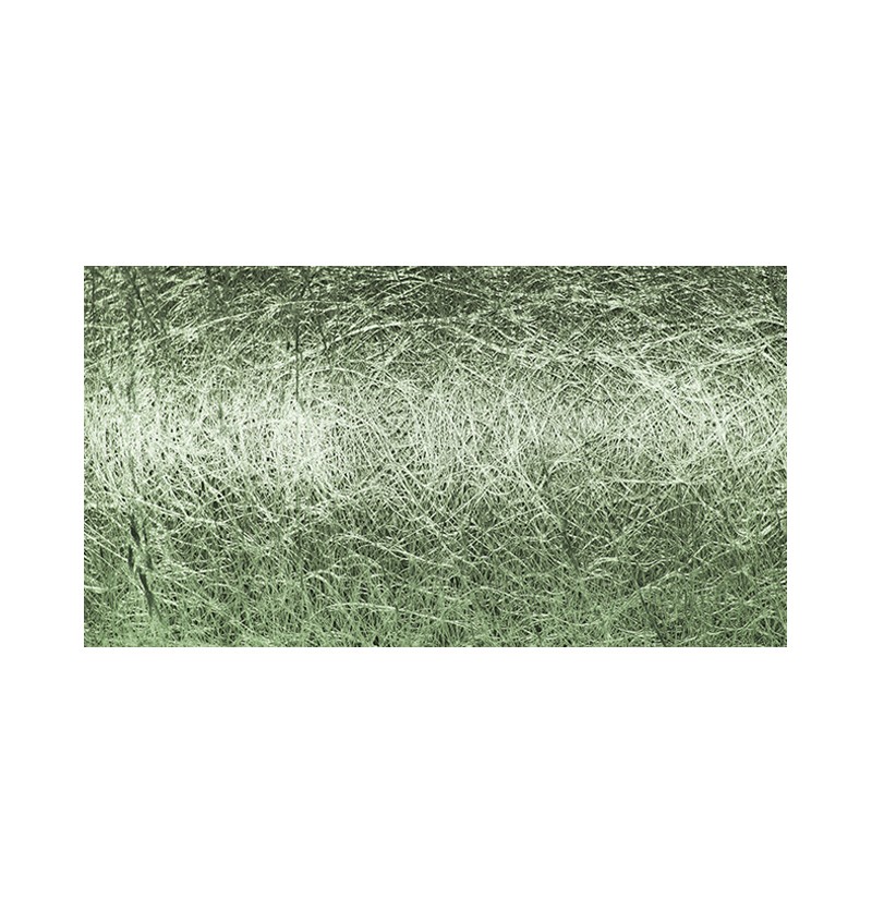 Glimmerbånd Skovgrøn - 1 rulle (10 cm x 10 m) | Grønt tema Bånd - Temashop