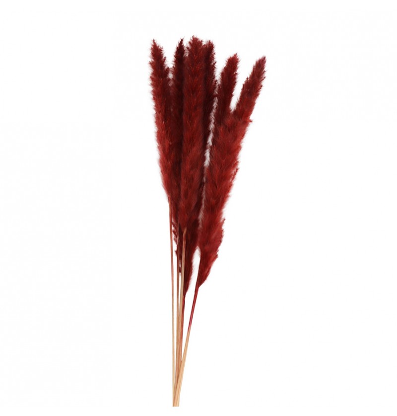Pampasgræs Bundt Bordeaux - 6 stk (65 x 75 cm) | Natur tema Kunstige blomster - Temashop