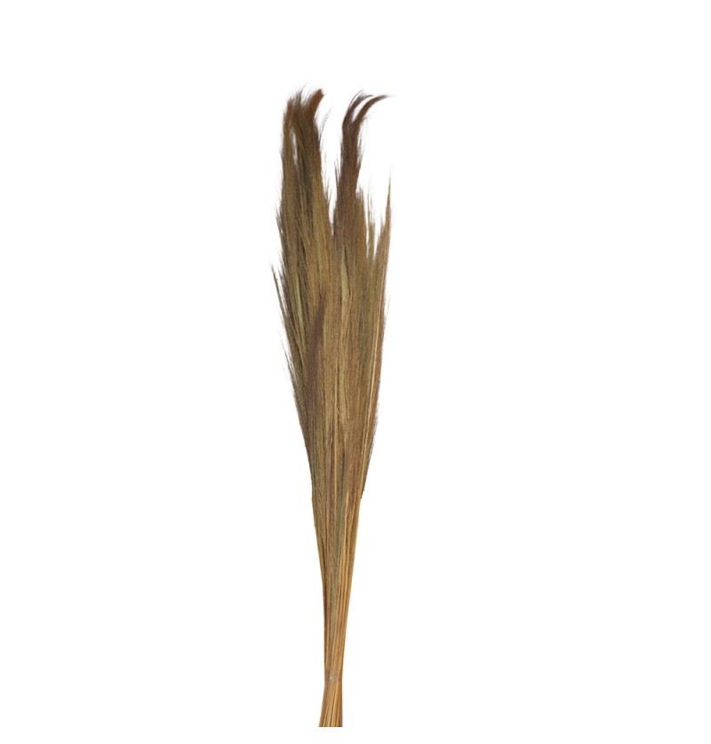 Tørret Pampasgræs Natur - 1 sæt (110 cm) | Natur tema Kunstige blomster - Temashop