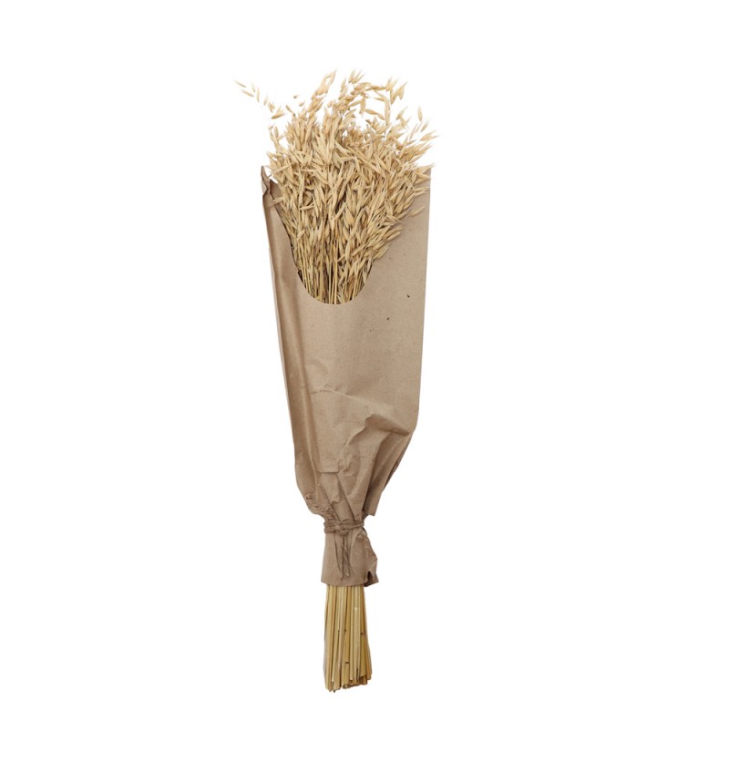 Tørret Havre Bundt Natur - 1 sæt (70 cm) | Natur tema Kunstige blomster - Temashop