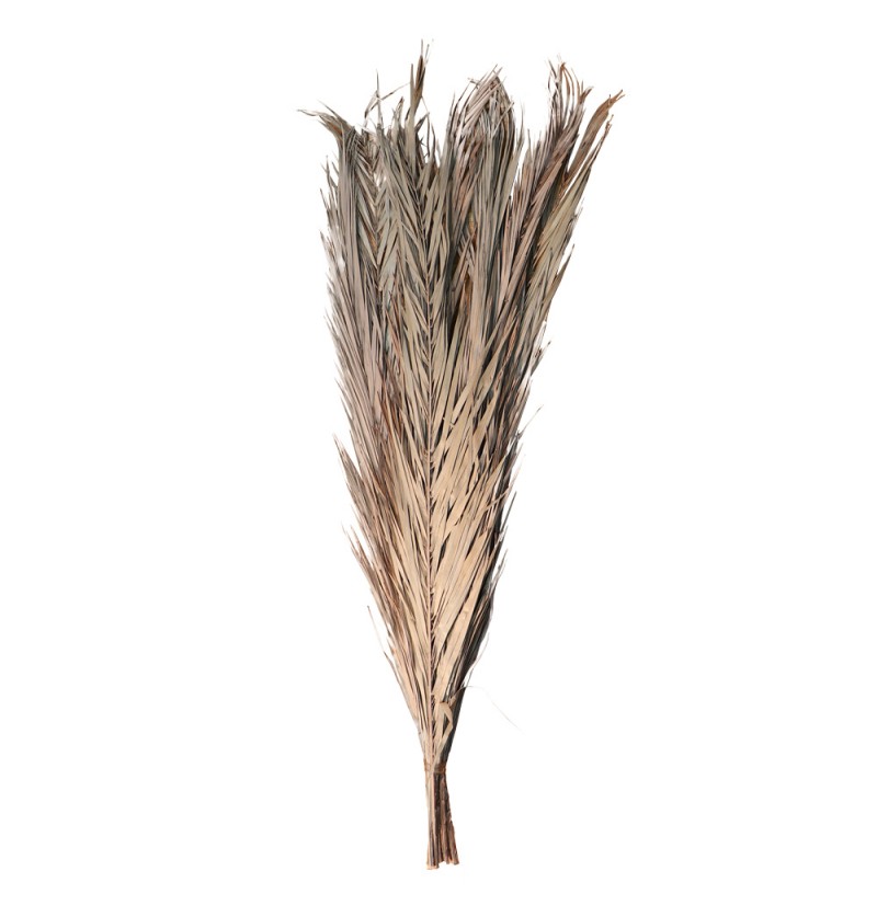 Tørrede Daddelblade Bundt Natur - 9 stk (100 x 120 cm) | Natur tema Kunstige blomster - Temashop