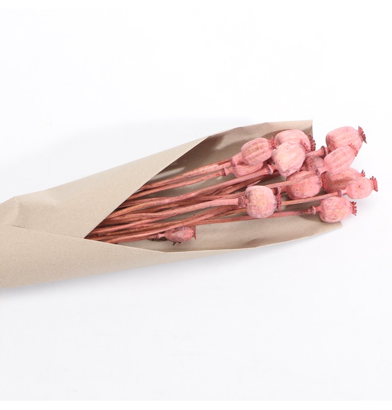 Tørrede Valmuekapsler Rosa - 1 sæt (60 cm) | Blomst Kunstige blomster - Temashop