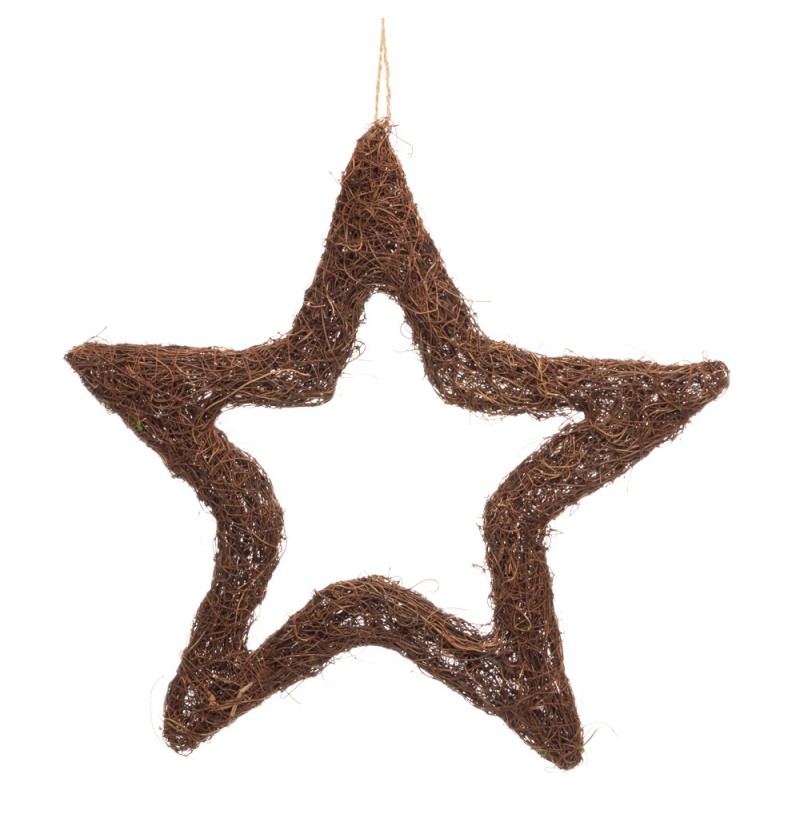 Fletstjerne Vægdekoration Natur
