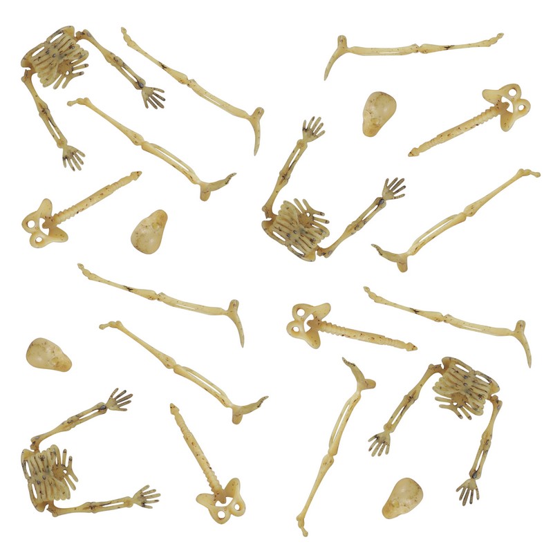 Miniature Skeletdele