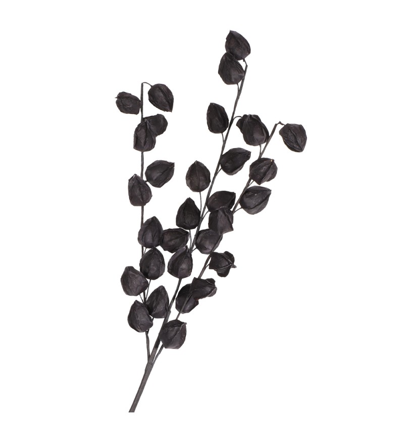 Kunstig Physalis Gren Sort