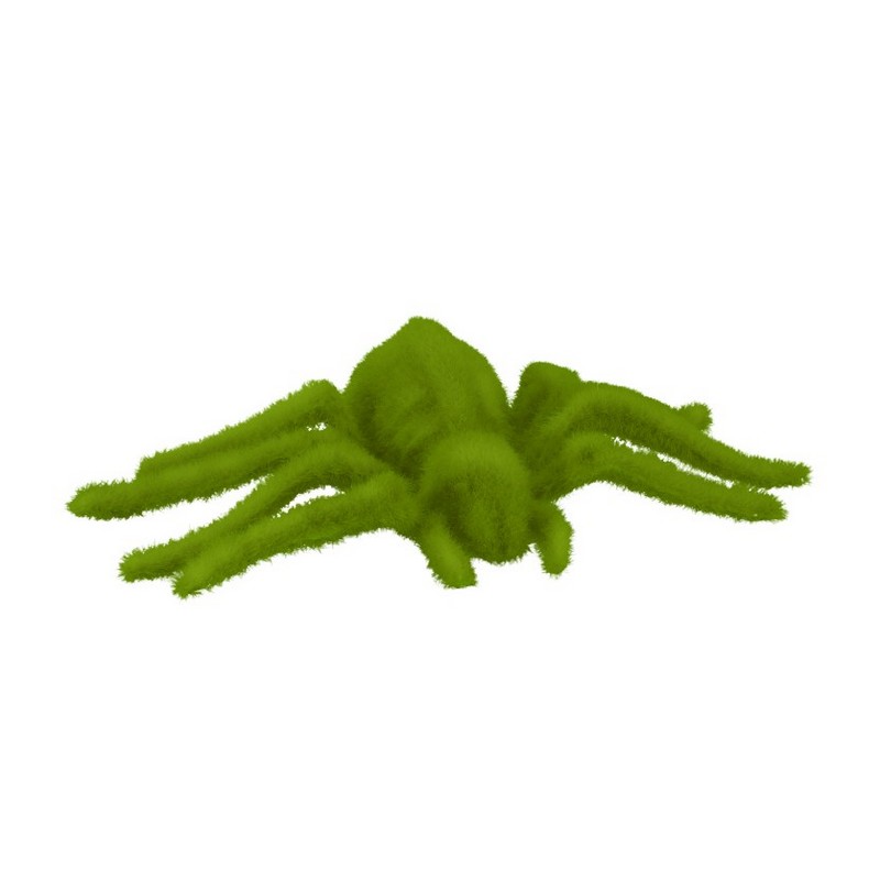Mos Edderkop Grøn