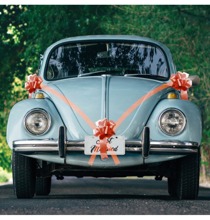 Sløjfe Bildekoration Sæt Rød - 5 dele | Bryllup Bildekoration - Temashop