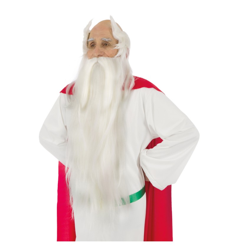 Asterix Miraculix Skæg Og Paryk Hvid | Asterix Skæg - Hovedtilbehør - Temashop