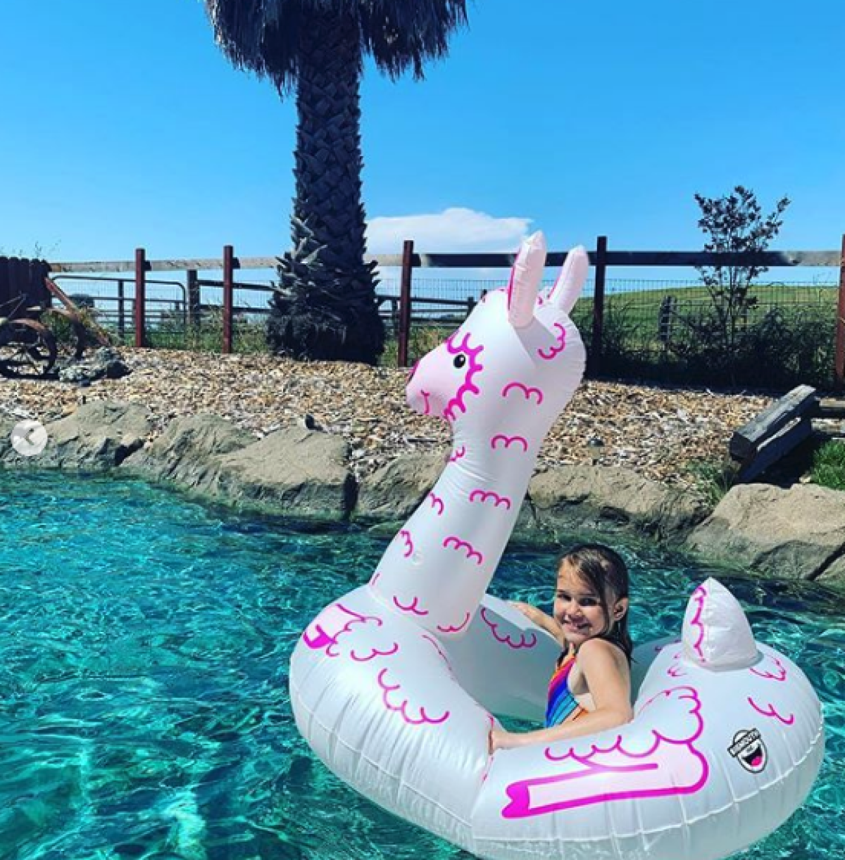 pool llama