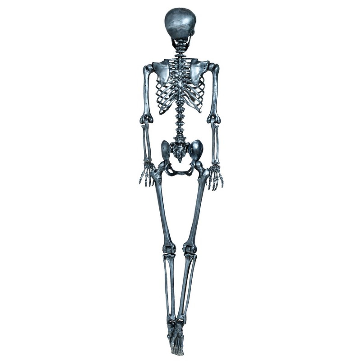 Skelet S lv Til 209 Kr P Temashop dk skelet-s-lv-til-209-kr-p-temashop-dk