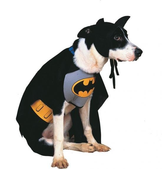 Køb Batman® Hundekostume til kun 199 kr Temashop.dk