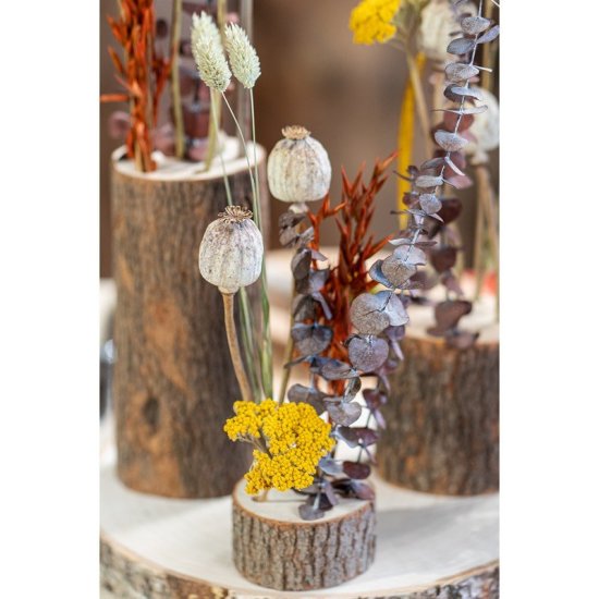 Kamfertræ Blomsterholder