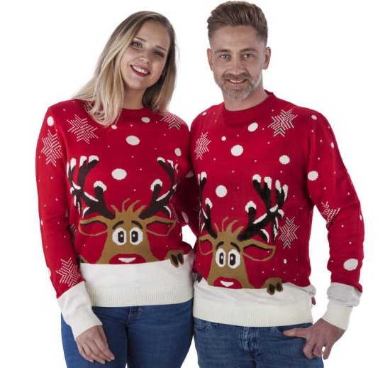 Peakaboo Rudolf Julesweater
