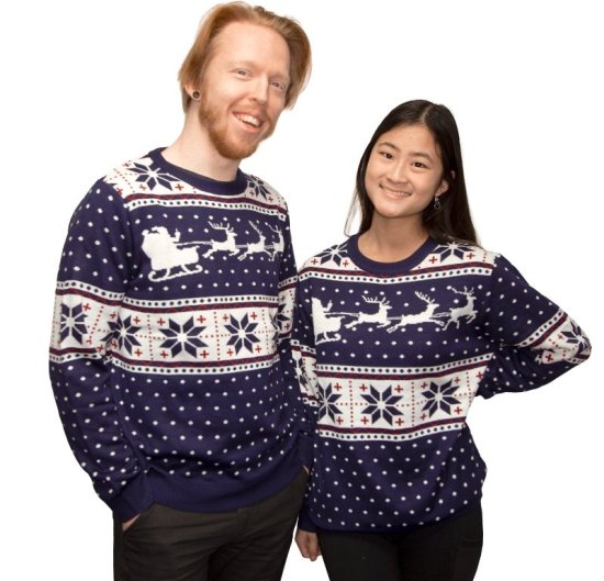 Santas Sleigh Julesweater
