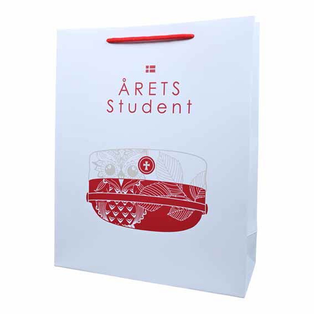 Student Gavepose Rød - 1 stk (32 x 26 x 10 cm) | Studerende Poser / Goodiebags - Temashop