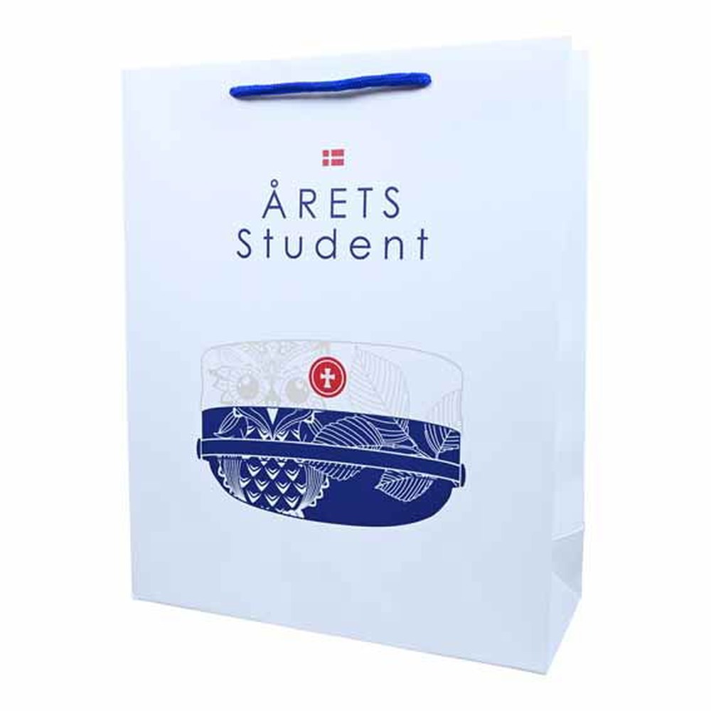 Student Gavepose Blå - 1 stk (32 x 26 x 10 cm) | Studerende Poser / Goodiebags - Temashop