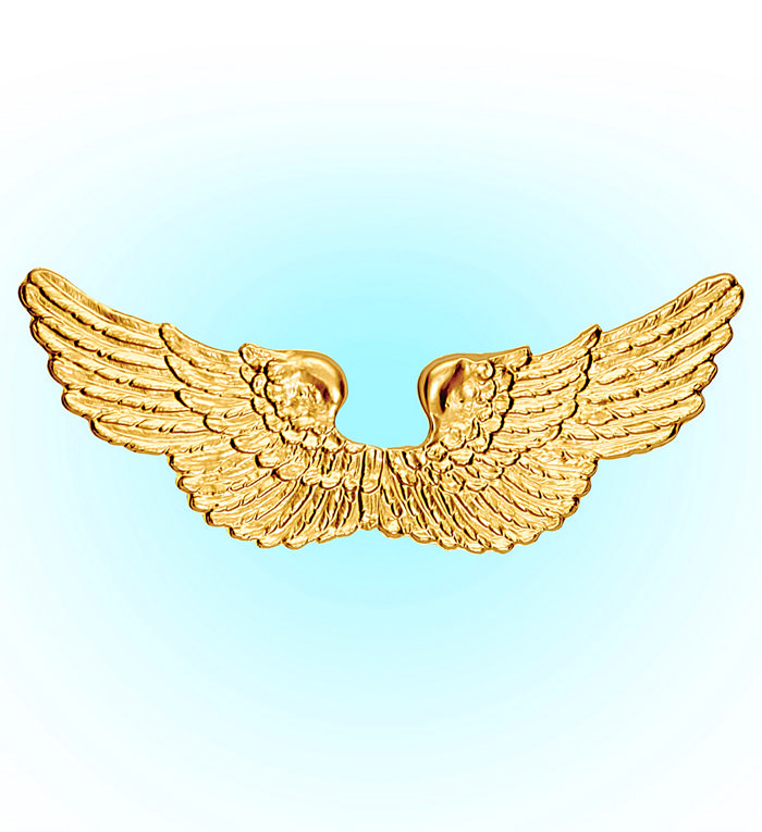Englevinger Guld | Engle Vinger - Kropstilbehør - Temashop