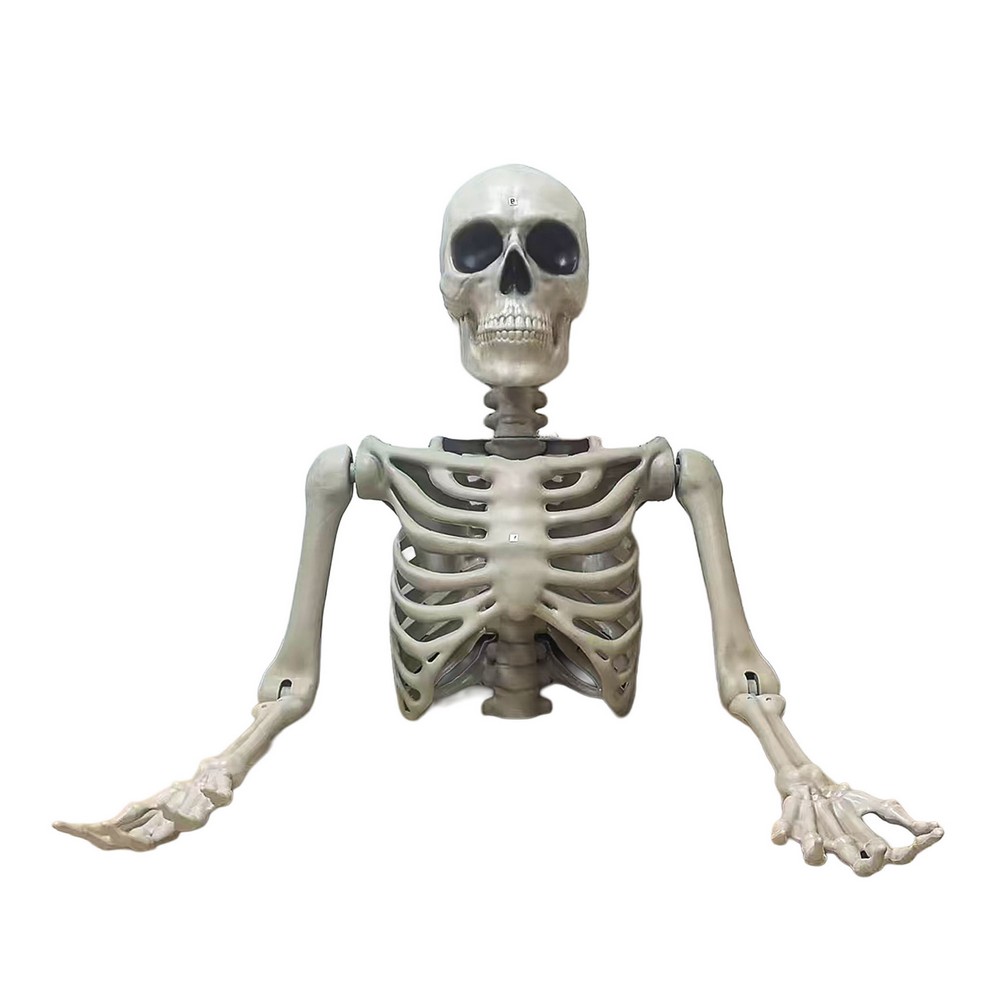 Lifesize Skelet Overkrop