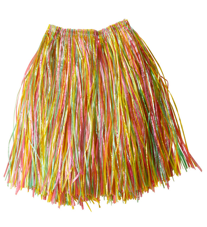 Farverig Hula Skørt | Hawaii Bukser / Skørt / Shorts - Beklædning - Temashop