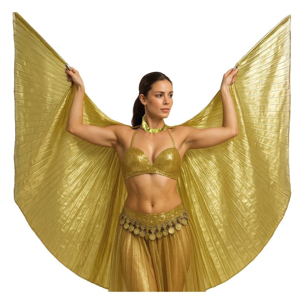 Egyptiske Vinger Kappe Guld (285 x 135 cm) | Det gamle Egypten Kappe - Beklædning - Temashop