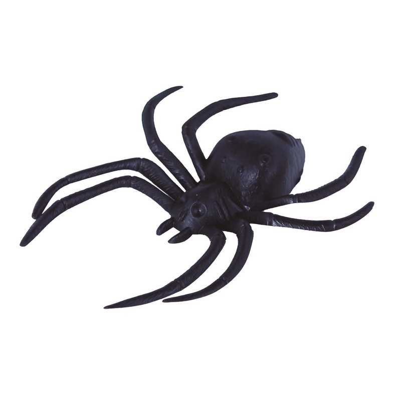 Halloween Edderkopper Sort