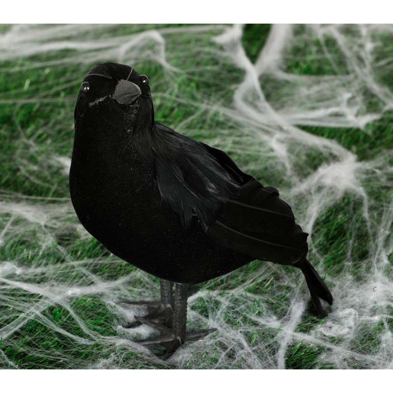 Halloween Ravn Sort