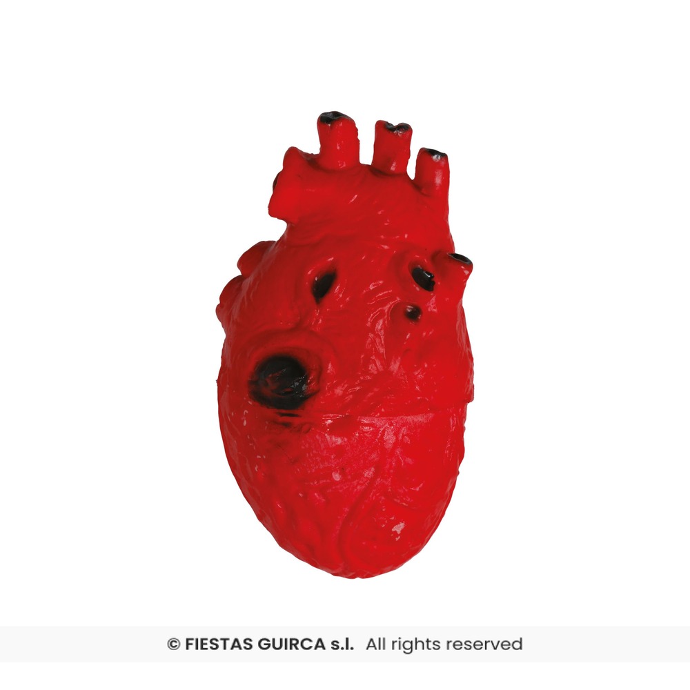 Anatomisk Hjerte Dekoration Rød - 1 stk (15 cm) | Halloween Props - Temashop