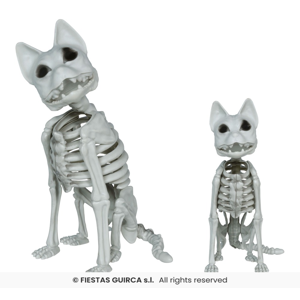 Skelet Kat