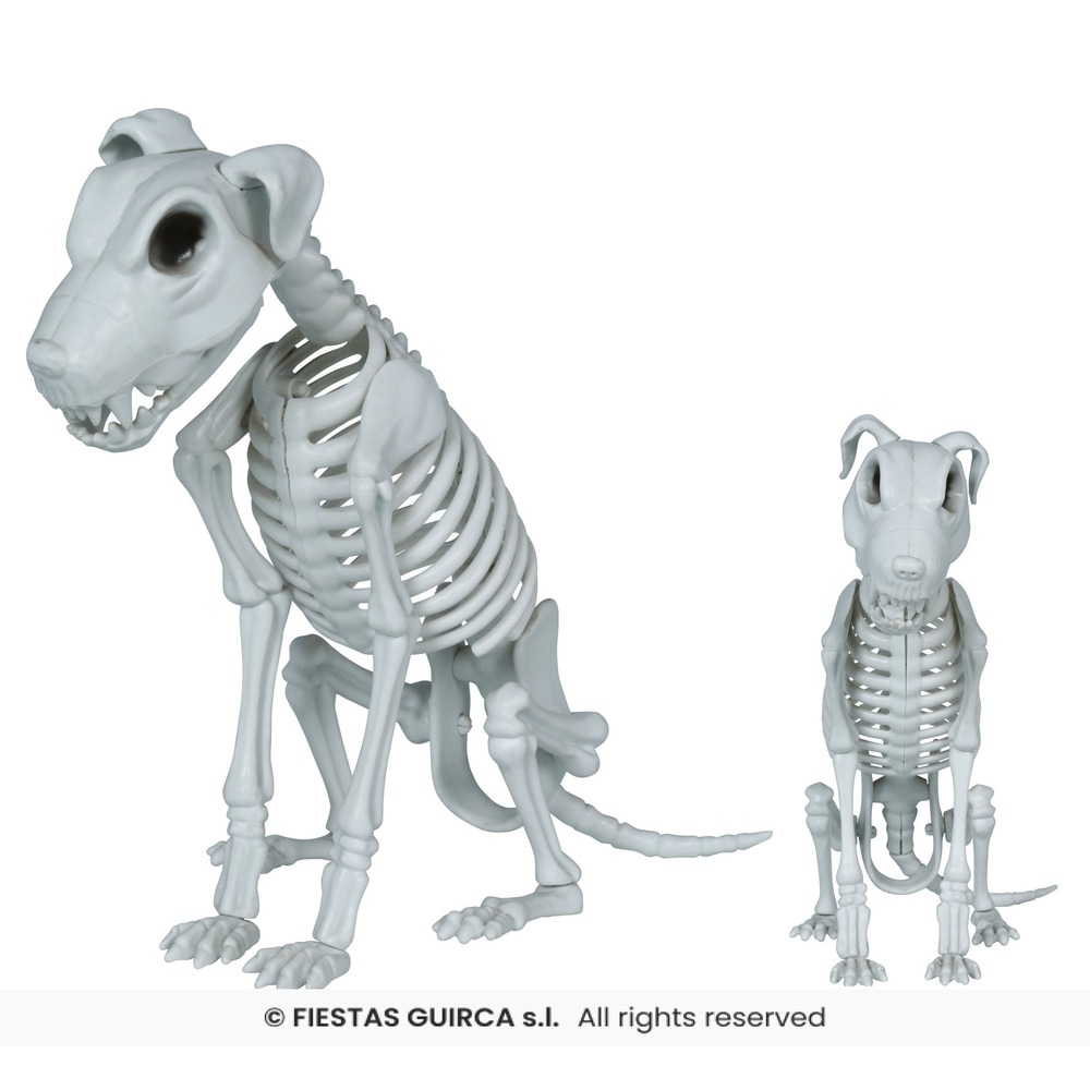 Skelet Hund