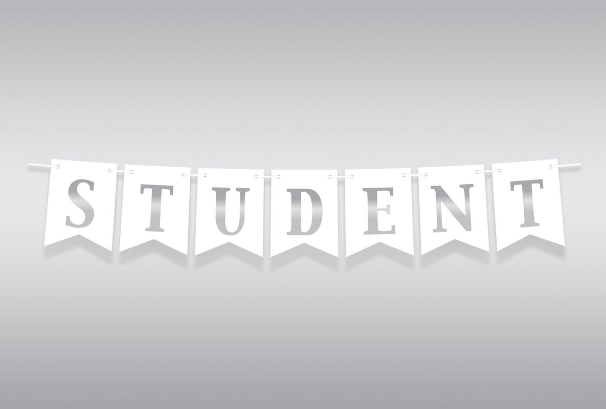 Flagguirlande Student Sølv