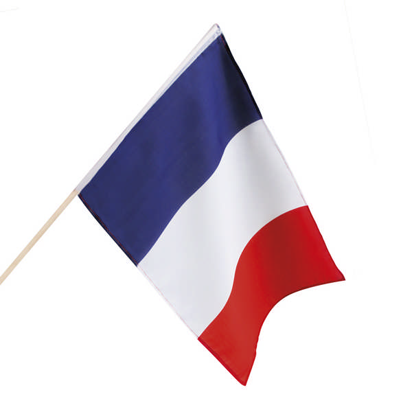 Frankrig Flag På Pind