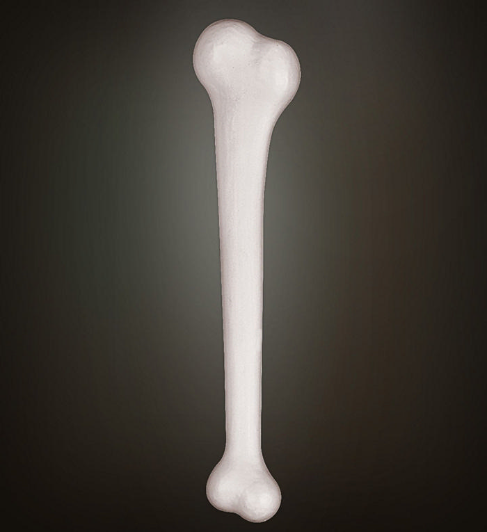 Gigant Knogle | Hulemand Knogler - Kropstilbehør - Temashop