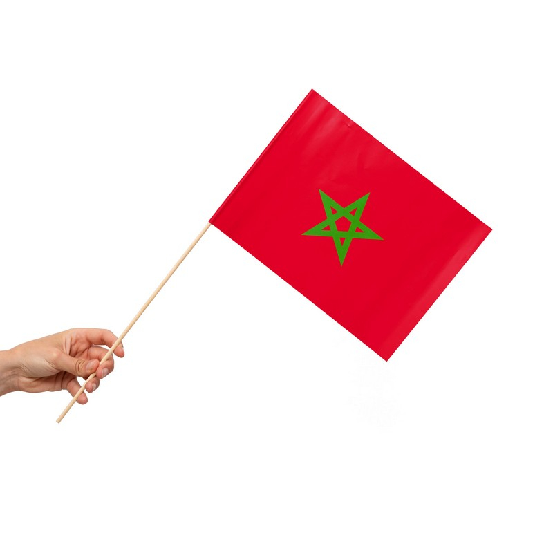 Marokko Flag På Pinde