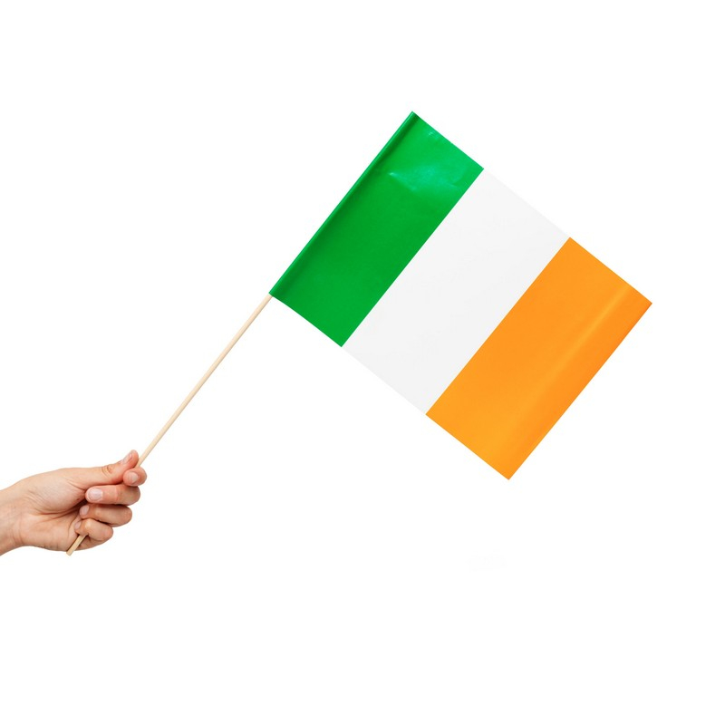 Irland Flag På Pinde
